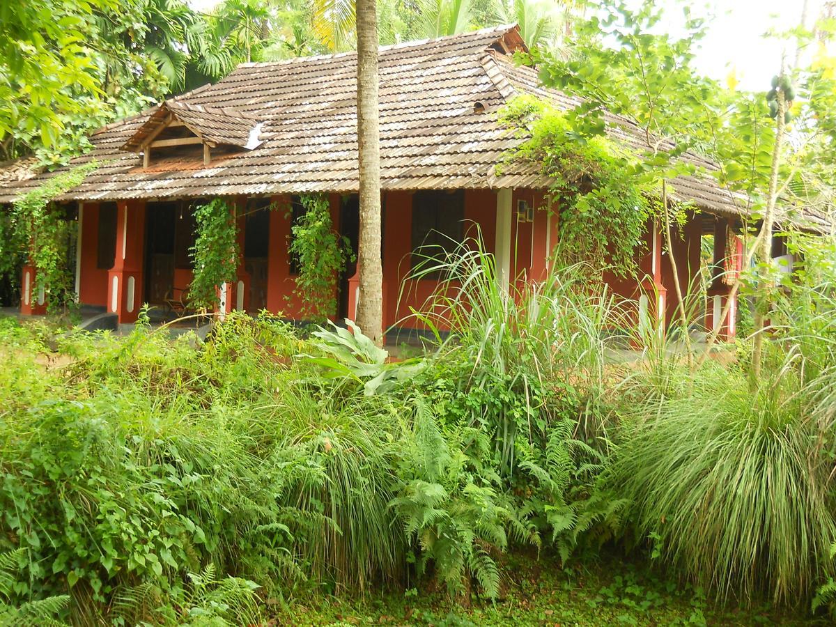 Big Banana Island Retreat Hotel North Paravur Kültér fotó