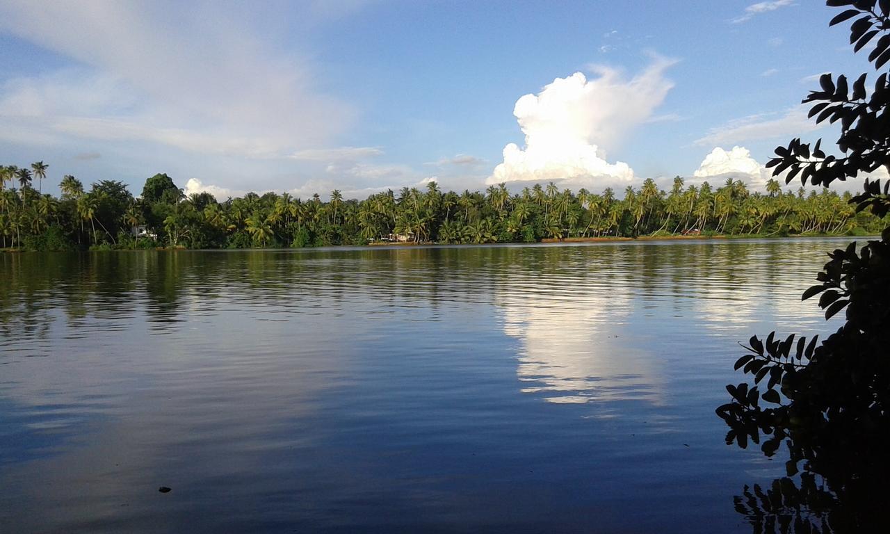 Big Banana Island Retreat Hotel North Paravur Kültér fotó